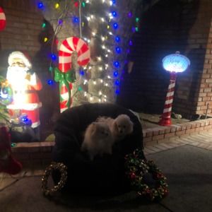 Meet your Posher, Jeanne